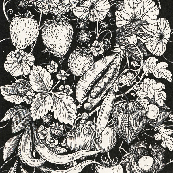 Ilustración en blanco y negro con fresas, vainas de guisantes, chiles, physalis y tomates