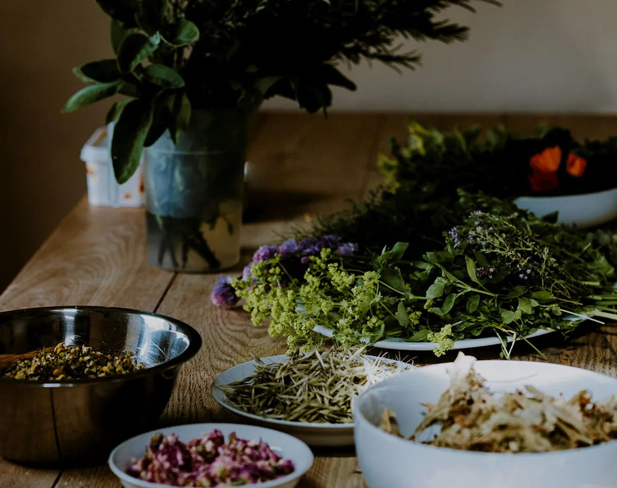 Plantas medicinales de la homeopatía