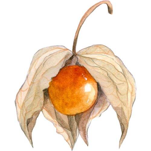 Frutas exóticas