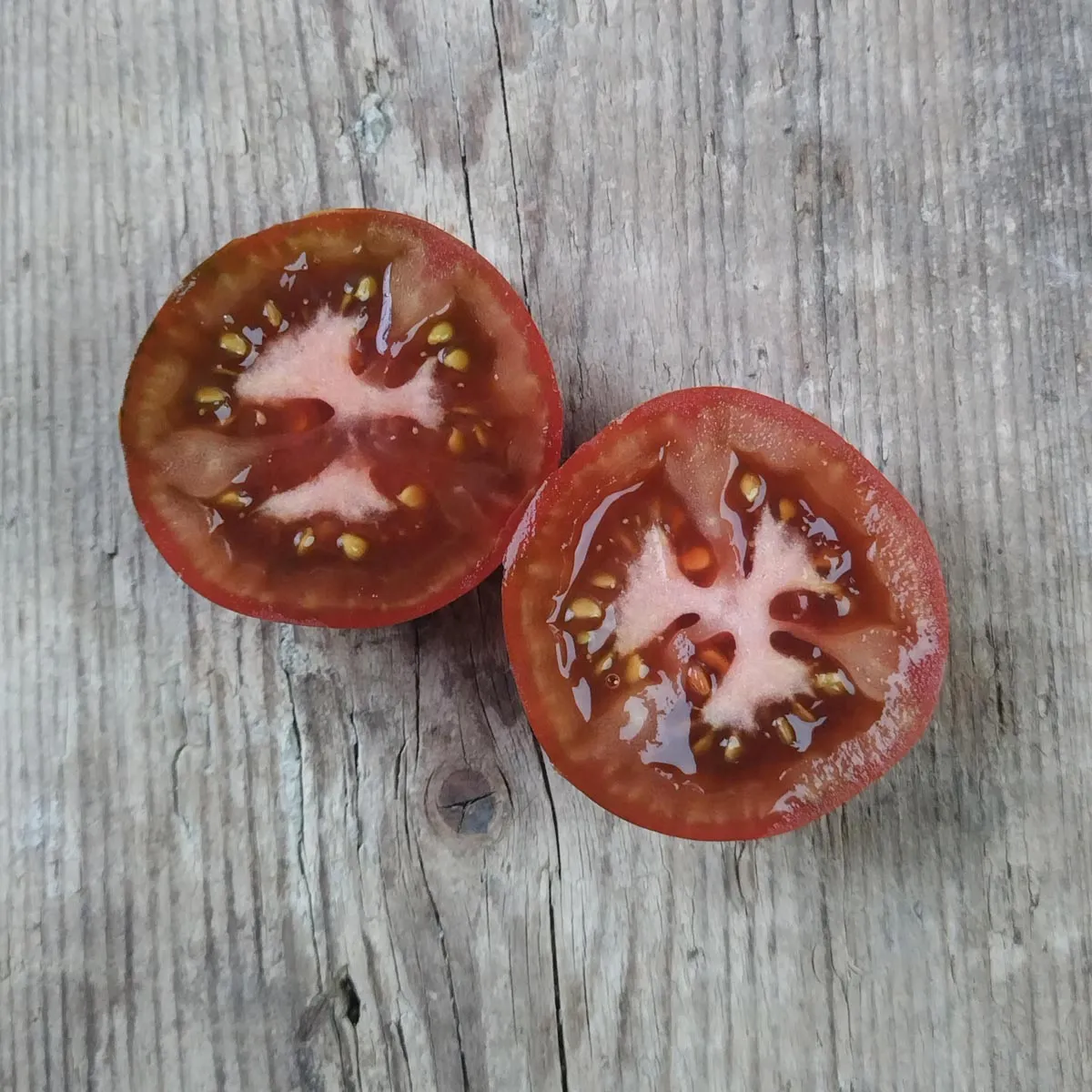 Schwarze Tomate 'Black Russian' (Solanum lycopersicum) Samen