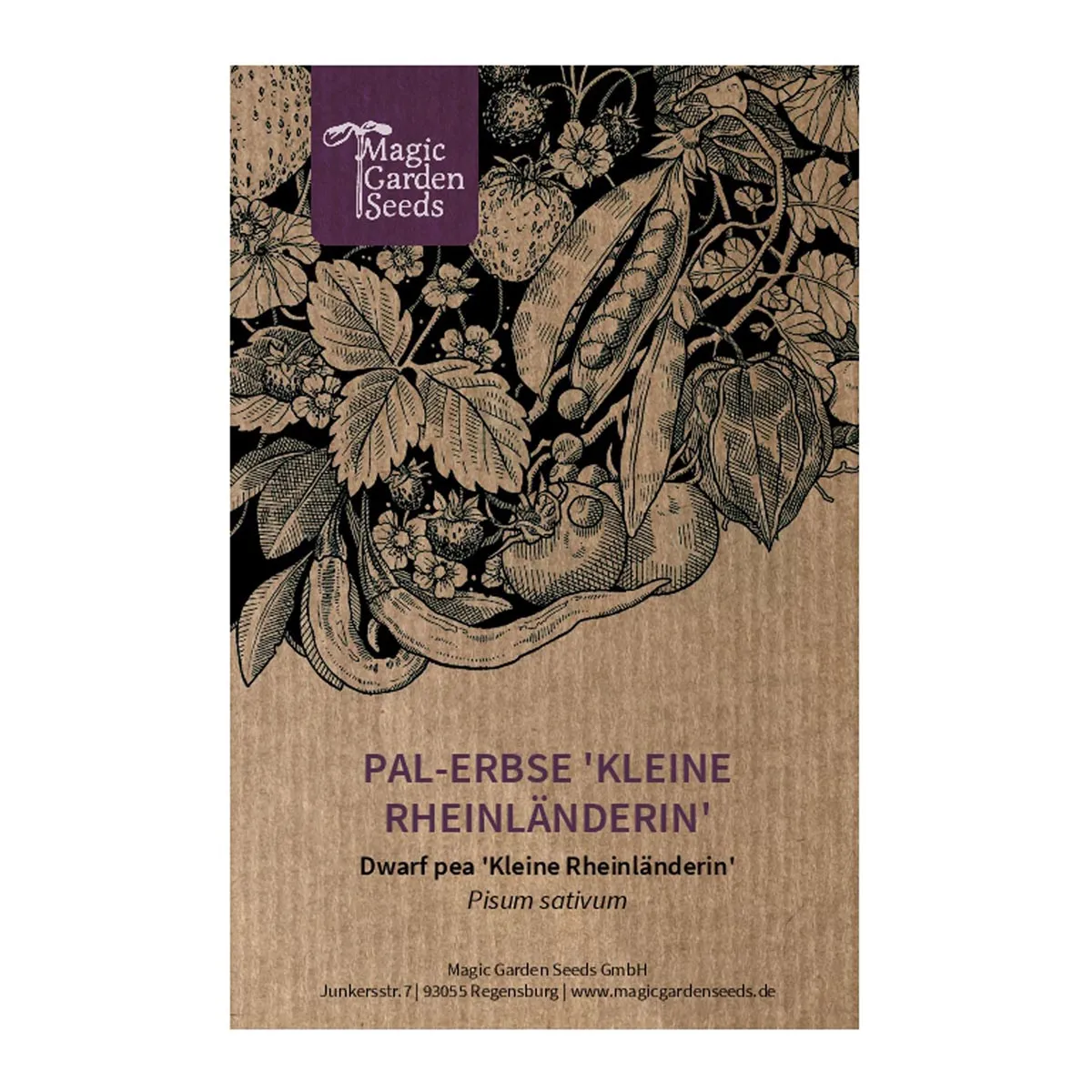Pal-Erbse 'Kleine Rheinländerin' (Pisum sativum) Samen