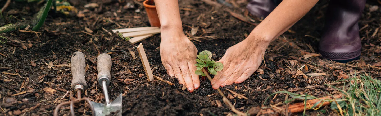 00_cover_willkommen-bei-magic-garden-seeds-wo-samen-geschichten-erzae