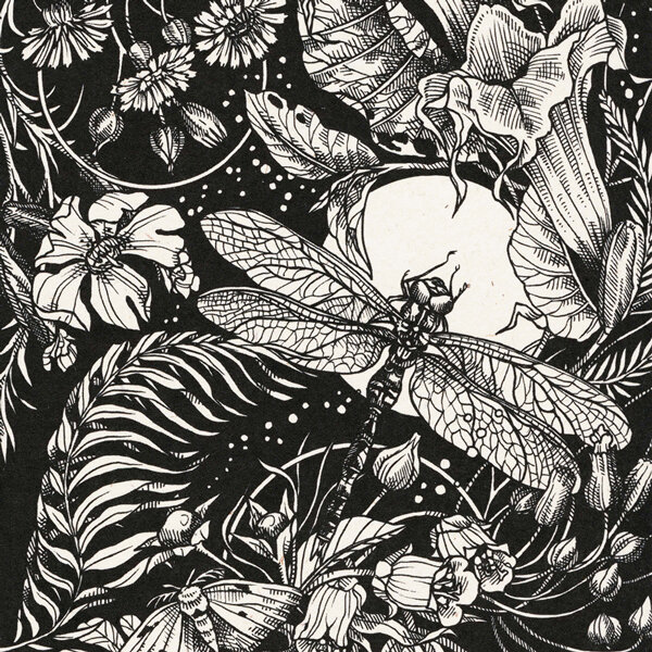 Ilustración en blanco y negro: libélula ante la luna llena entre flores, helechos y una polilla
