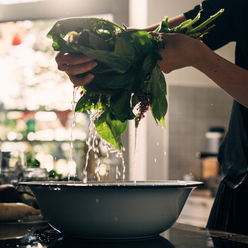 Verduras de hoja recién cosechadas lavadas sobre un cuenco con agua