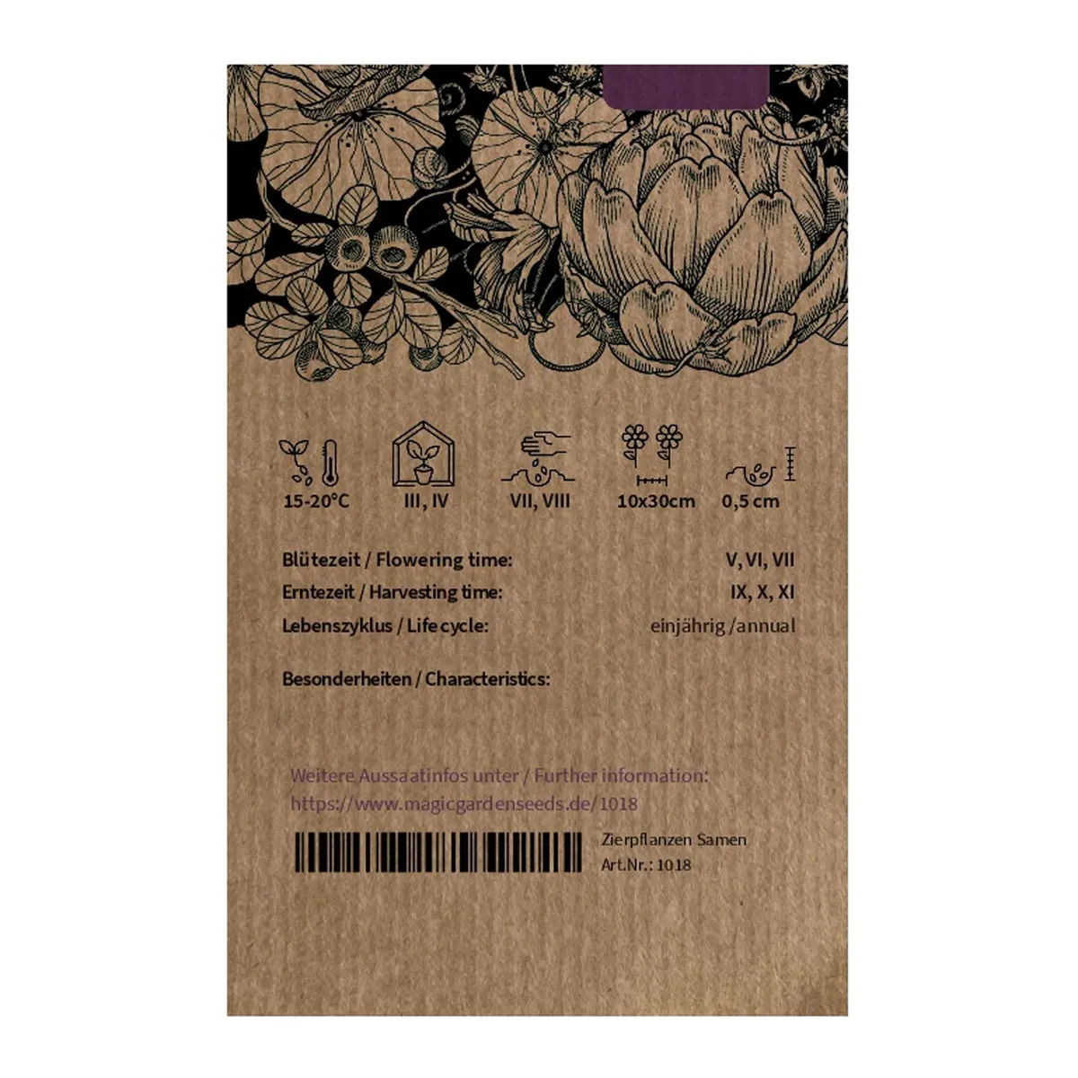 Herbstrüben 'Runde, Weiße, Rotköpfige' (Brassica rapa ssp. rapa) Samen