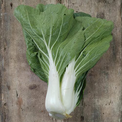 Pak choi recién cosechado con pencas blancas sobre madera