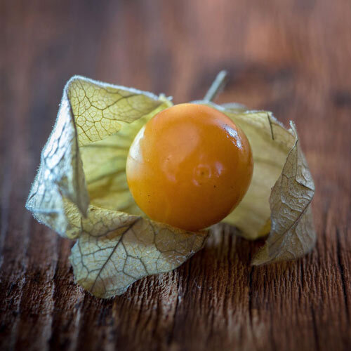 Physalis madura (uchuva) en su cáliz seco abierto