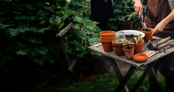 Mesa de jardín con macetas de barro y plantones durante el trasplante