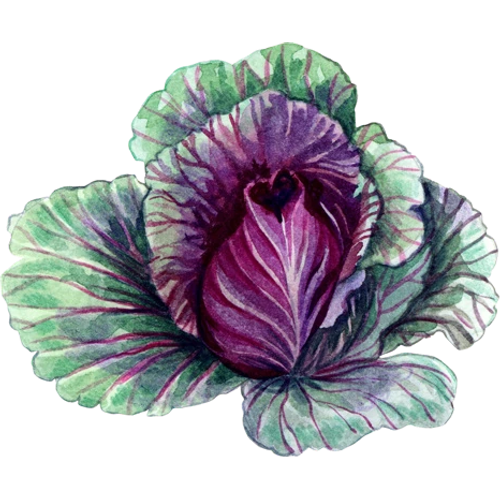 Col