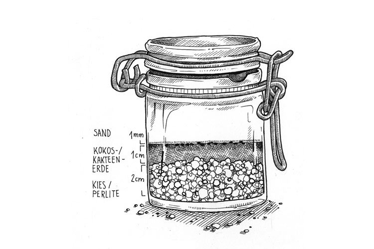 Dibujo: tarro con cierre mecánico para cactus con 2 cm de grava o perlita, 1 cm de sustrato y 1 mm de arena