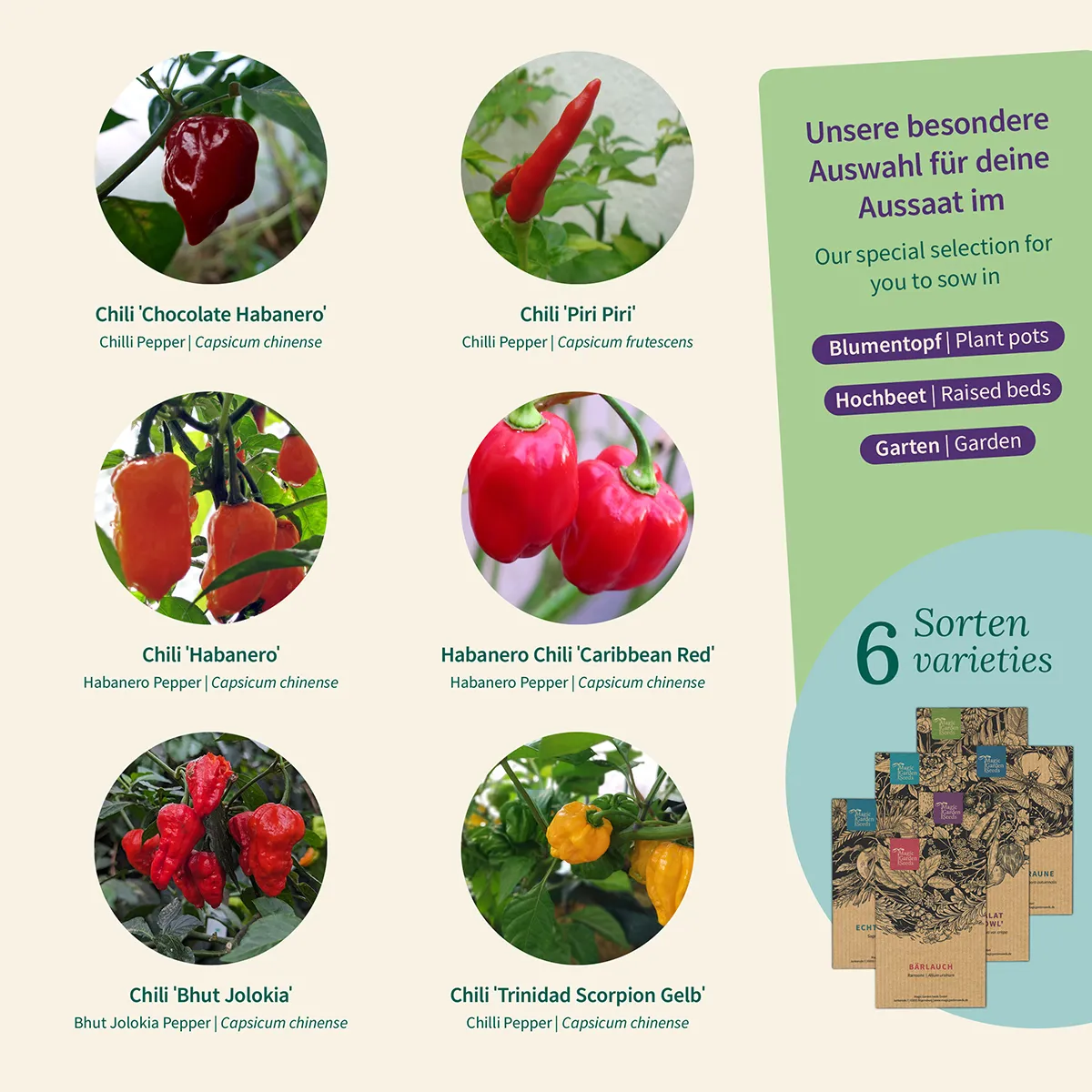 Scharfe Chilis für Garten und Küche - Samenset Nr.25