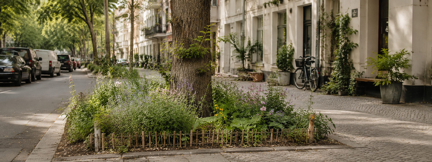 Parterre urbano plantado por los vecinos bajo un árbol de la calle