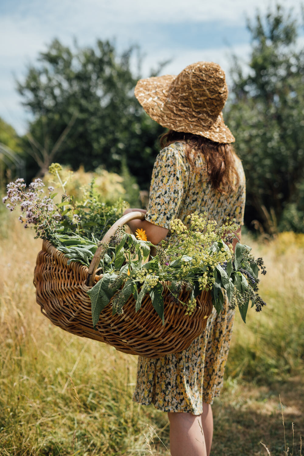 Mujer con sombrero de paja lleva una cesta de mimbre llena de hierbas y flores recién cortadas