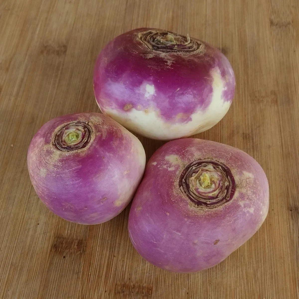 Herbstrüben 'Di Milano A Colletto Viola' (Brassica rapa ssp. rapa) Bio Saatgut