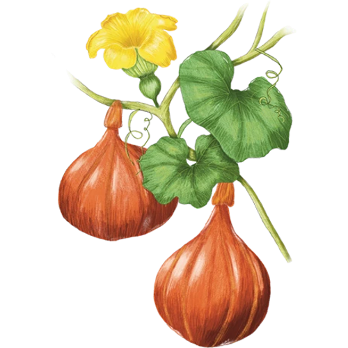 Calabazas
