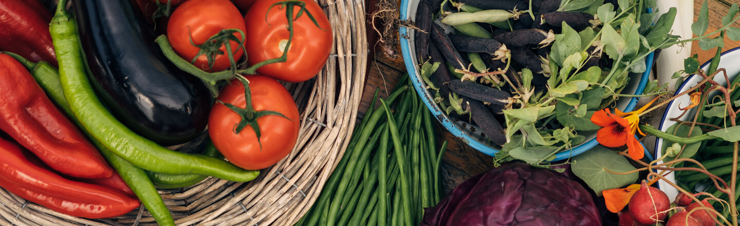 Verduras recién cosechadas, bien presentadas sobre una mesa
