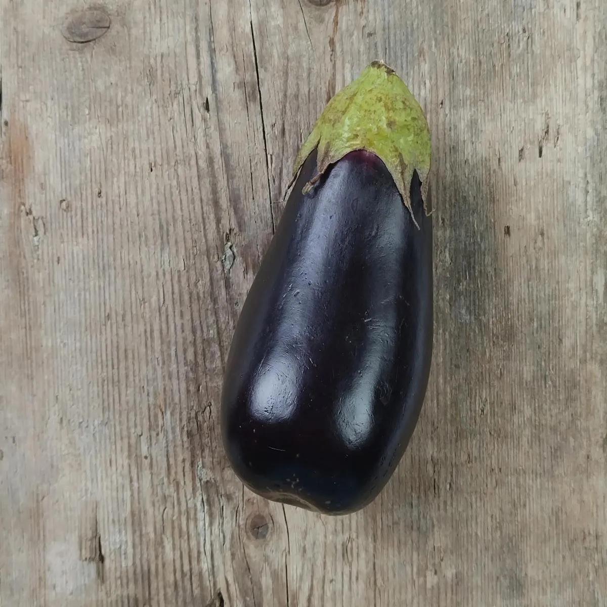 Auberginen 'Lange Violette' (Solanum melongena) Samen