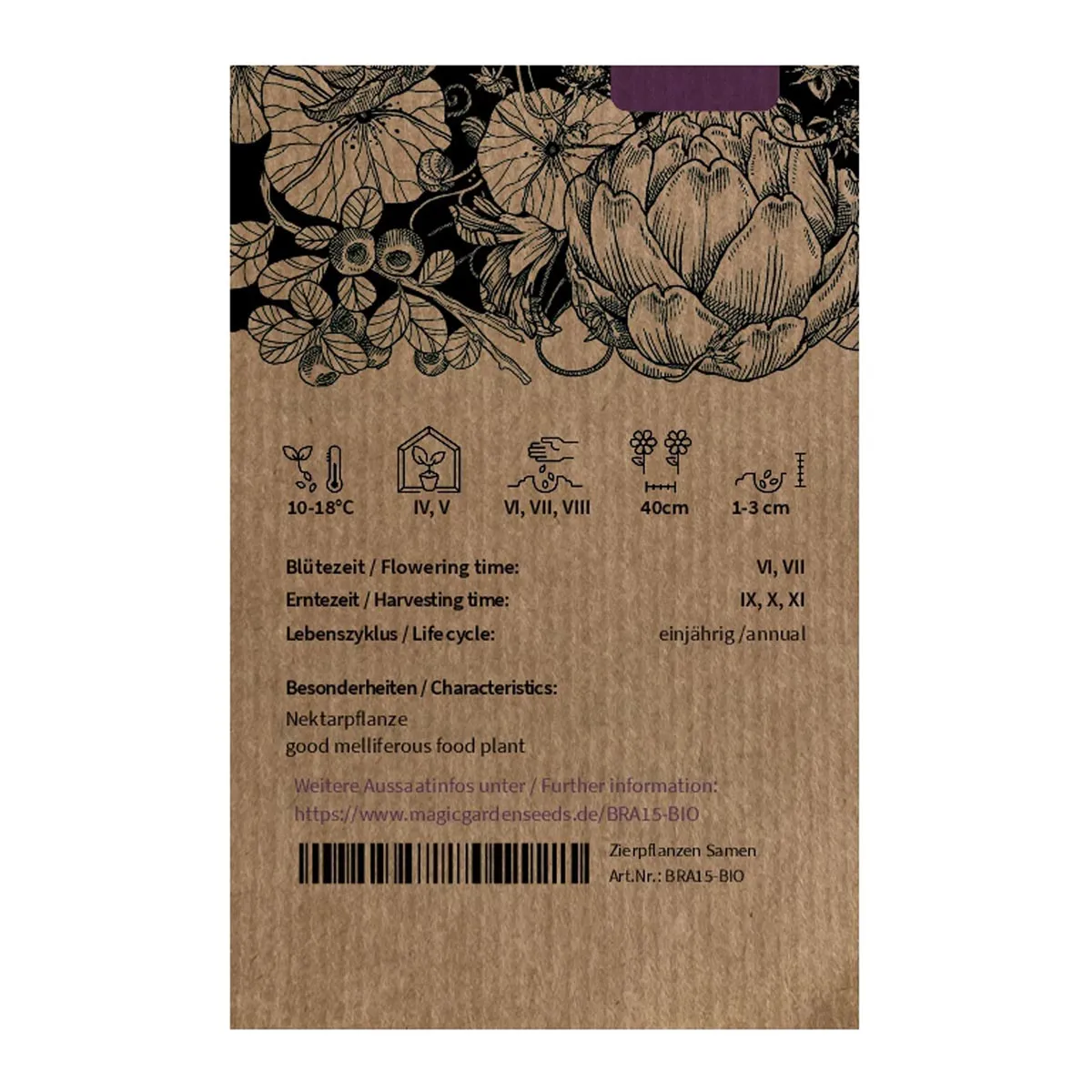 Kohlrübe 'Gelbe aus Friesland' (Brassica napus subsp. rapifera) Bio Saatgut