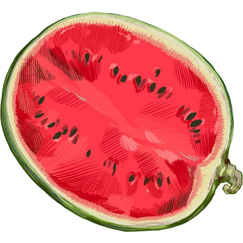 Melón y sandía