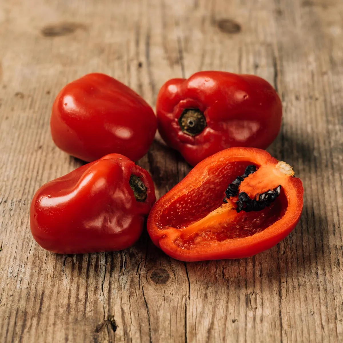 Baumchili 'Rocoto Manzano Rojo' (Capsicum pubescens) Samen