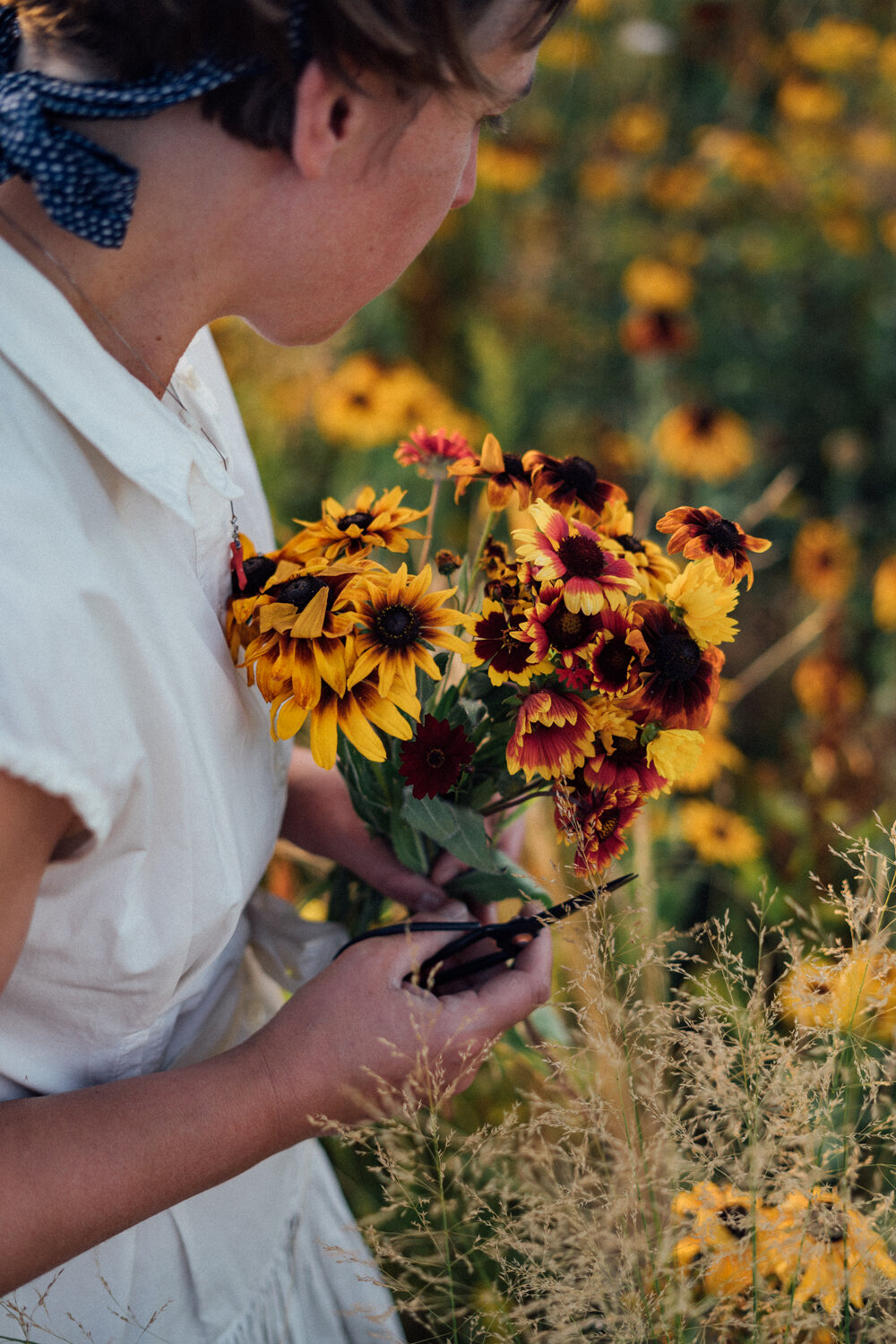 Una mujer corta flores para un ramo