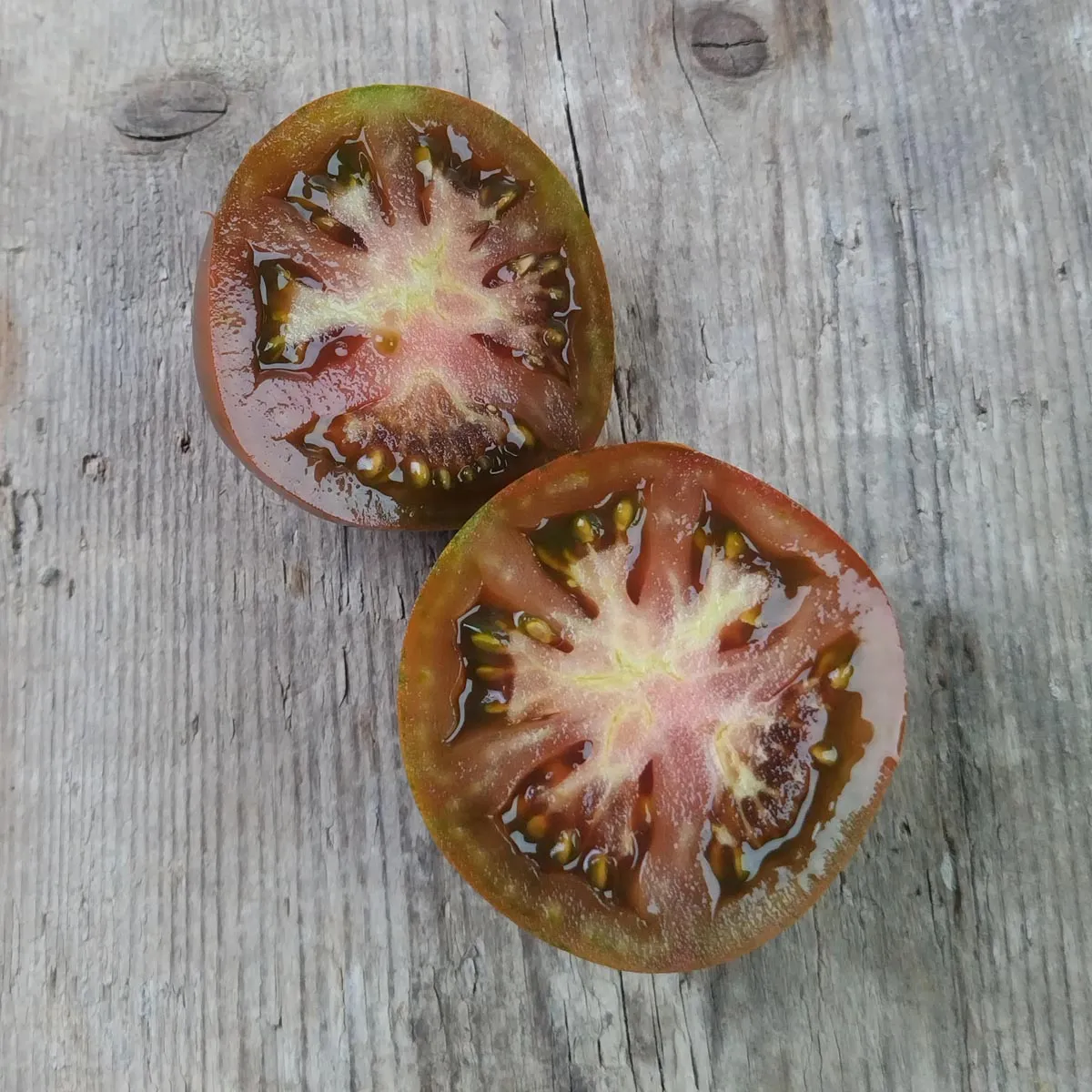 Tomate 'Schwarze Krim' (Solanum lycopersicum) Bio Saatgut