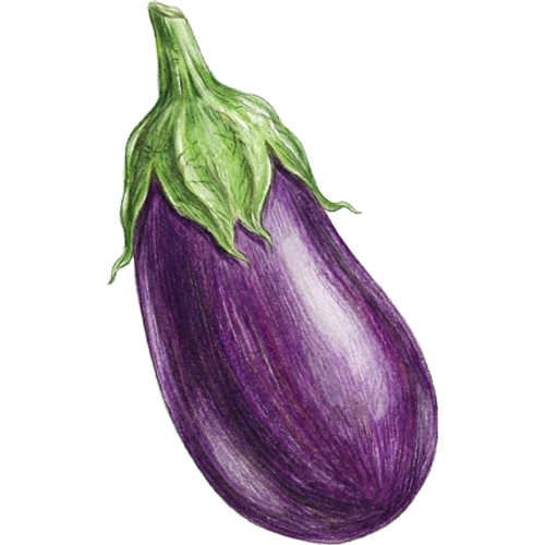 Berenjenas