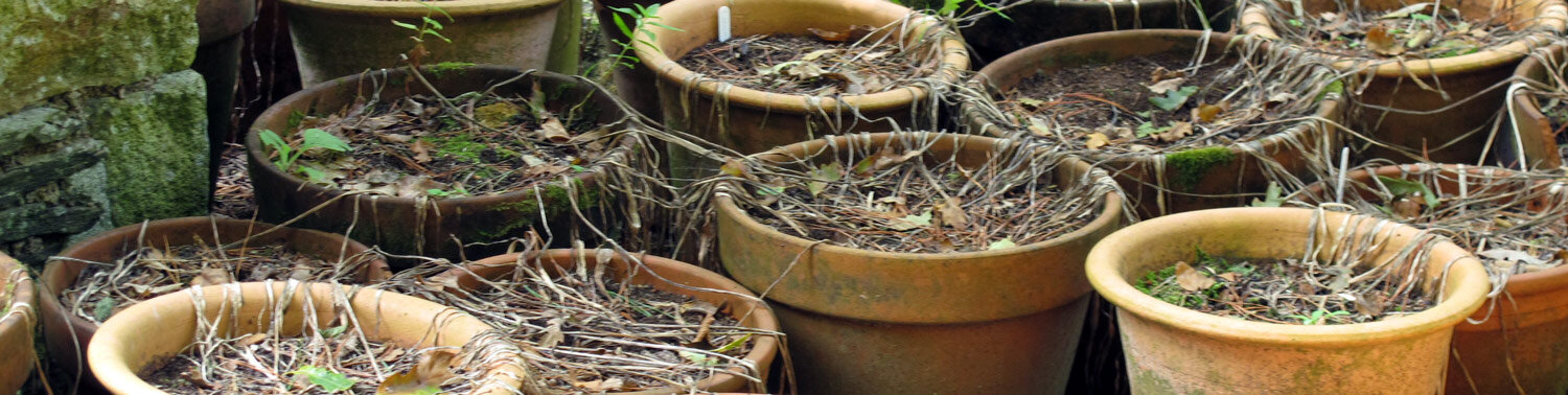 Macetas vacías esperando nuevas plantas