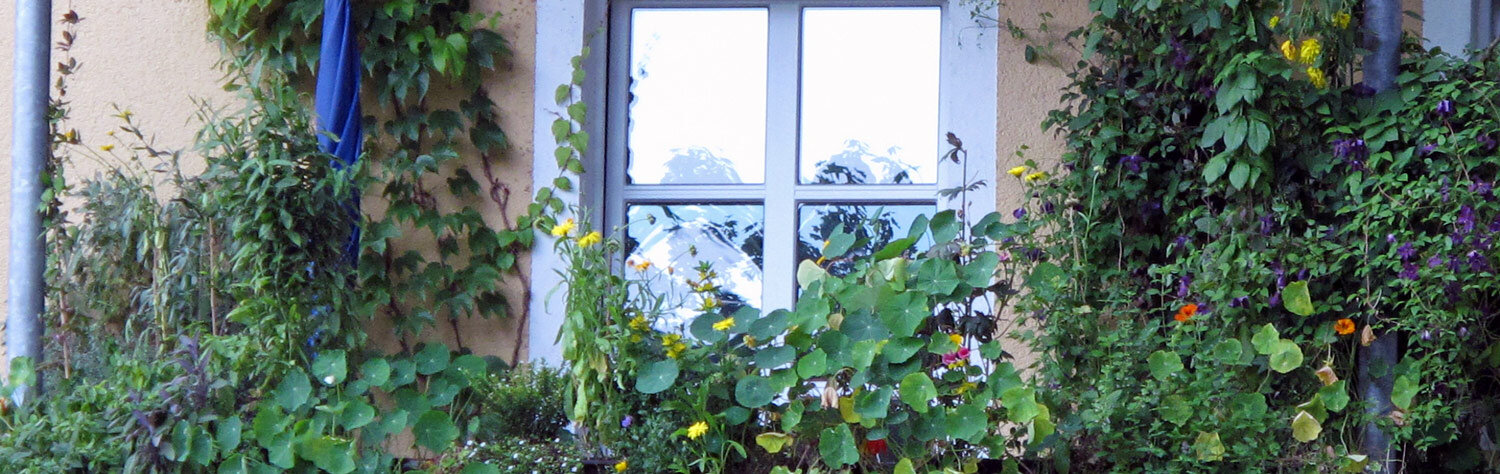 Naturaleza salvaje urbana en el balcón