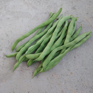 Judía de enrame 'Neckarkönigin' (Phaseolus vulgaris), vainas verdes recién cosechadas
