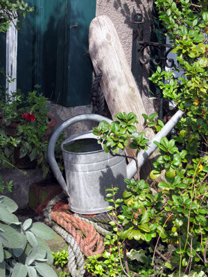 Regadera para regar el jardín