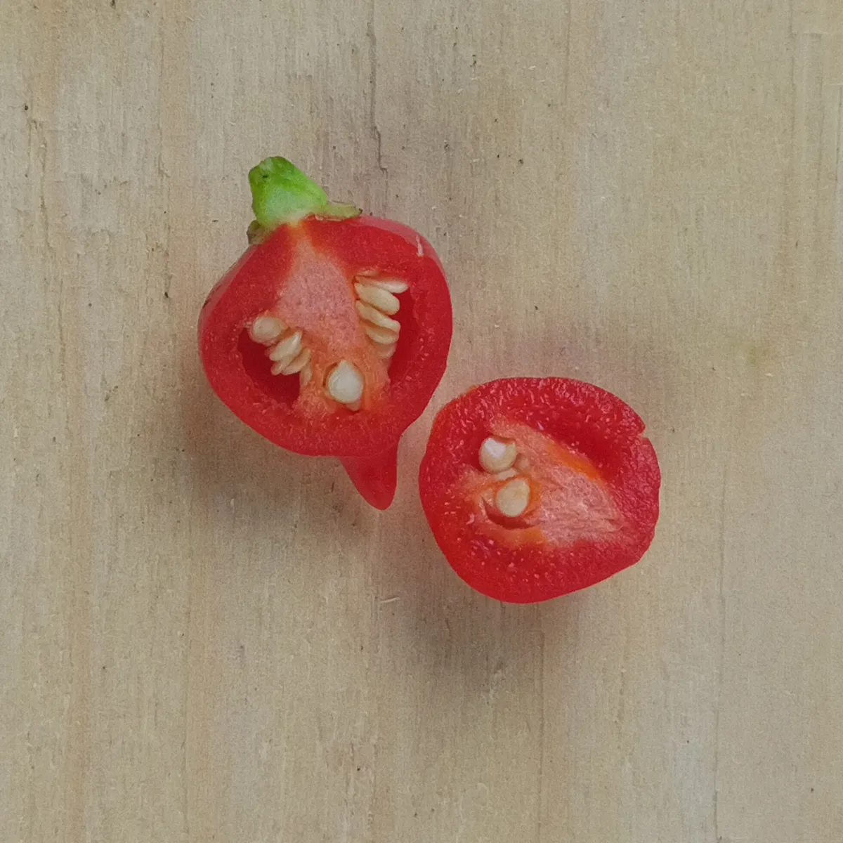 Chili 'Biquinho' (Capsicum chinense) Samen