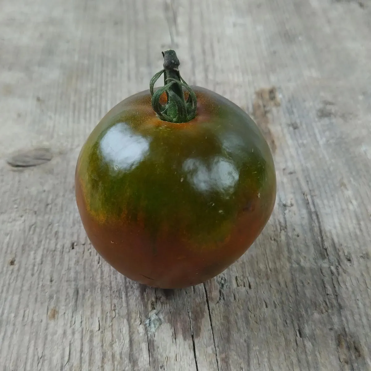 Tomate 'Schwarze Krim' (Solanum lycopersicum) Bio Saatgut