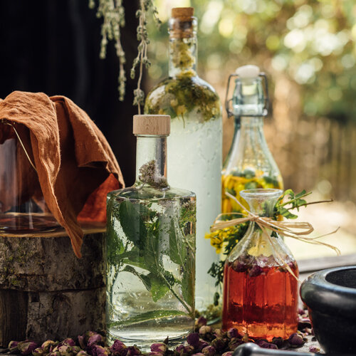 Hierbas y flores conservadas en vinagre y aceite en botellas de vidrio