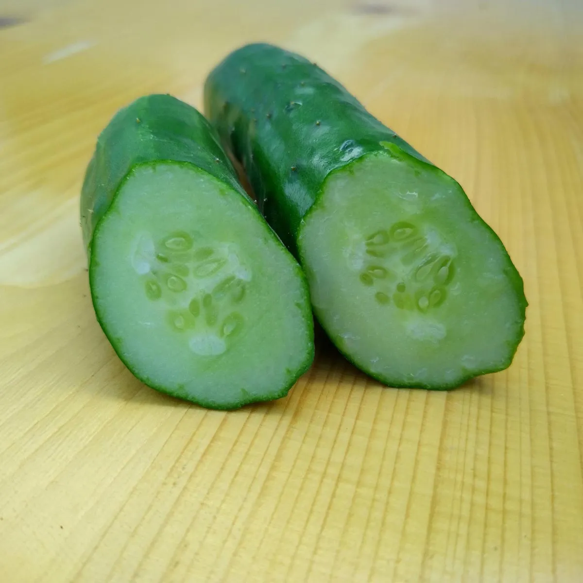 Salatgurken 'Tanja' (Cucumis sativus) Bio Saatgut