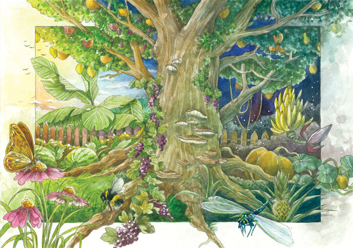 Ilustración de un jardín mágico: árbol frutal bajo un cielo de día y de noche, flores, abejorro y libélula