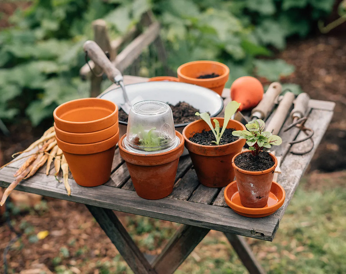 Instrucciones de cultivo generales