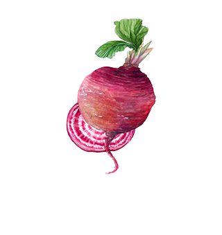 Semillas de hortalizas