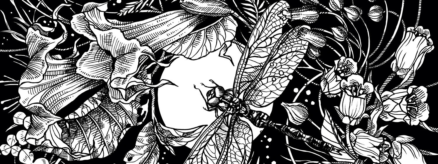 Ilustración de un jardín lunar