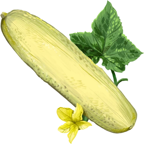 Pepinos