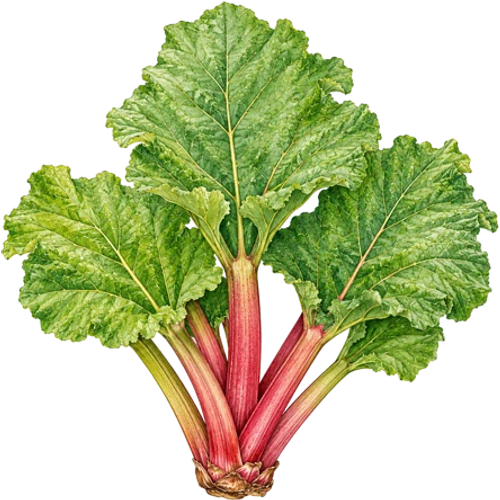 Otras especies frutales