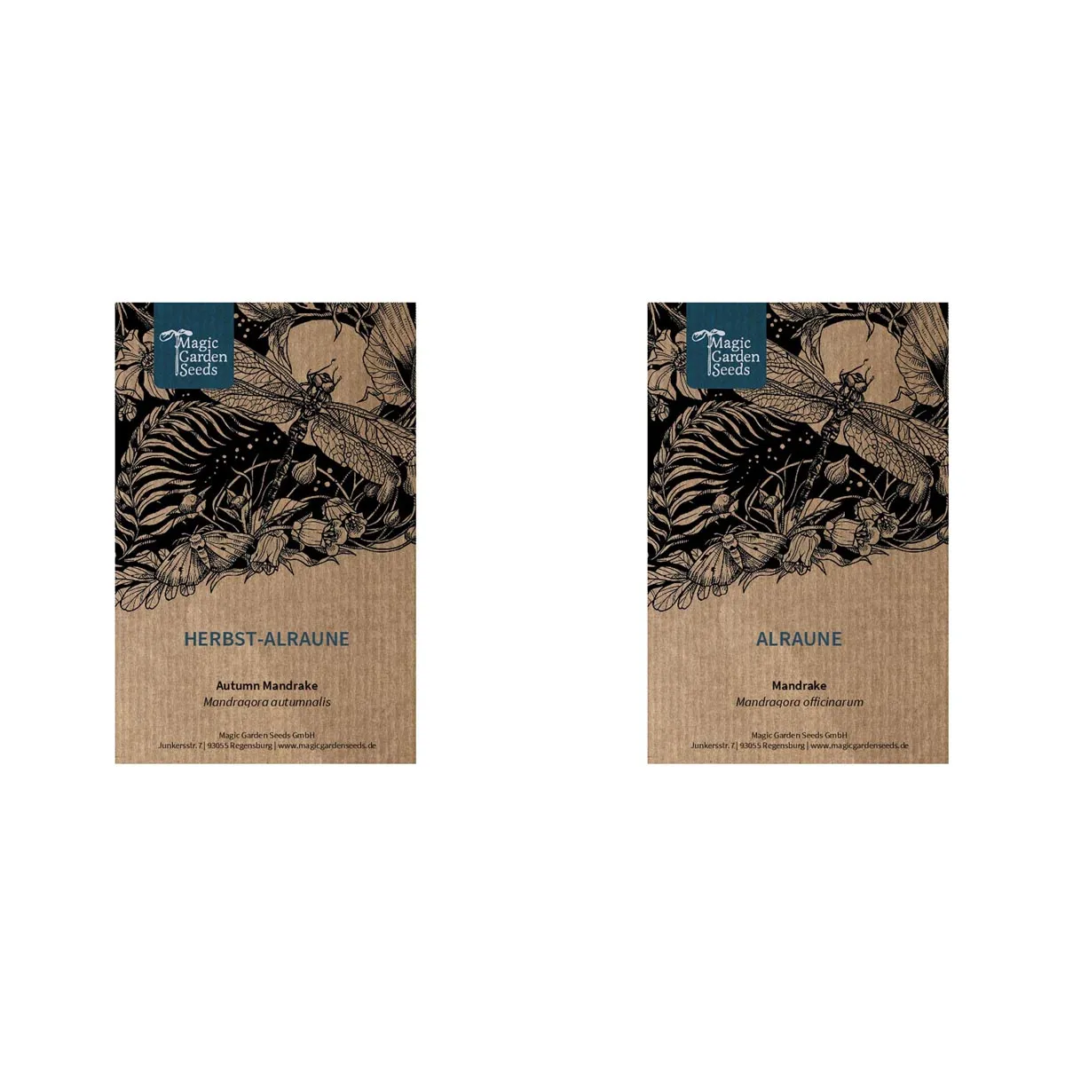 Alraune Arten - Samen-Geschenkset