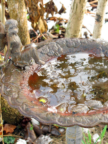 Bañera para pájaros decorada con figura y agua en el jardín invernal