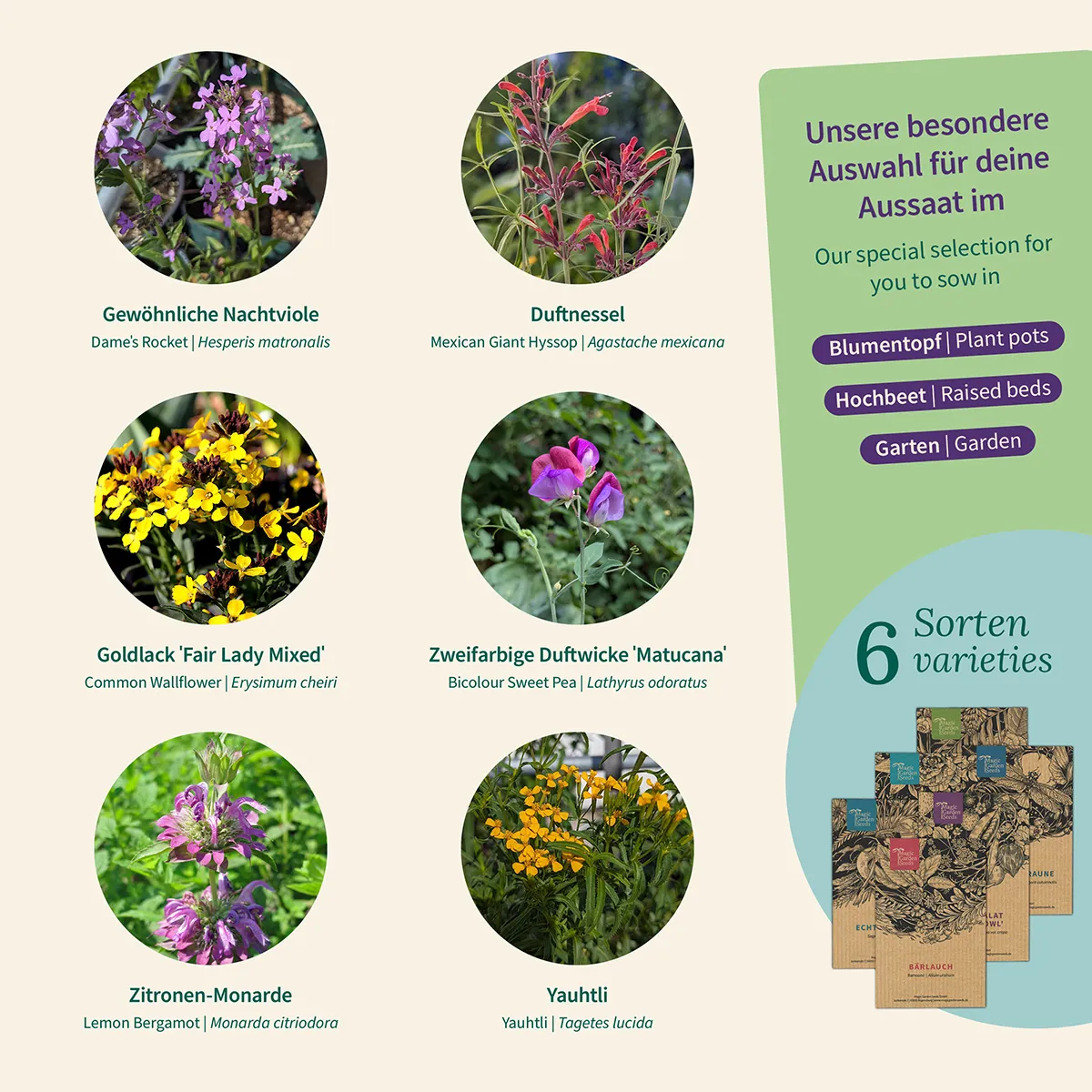 Duftpflanzen: Blütenzauber für Balkon, Beet und Sinne – Samenset Nr. 13