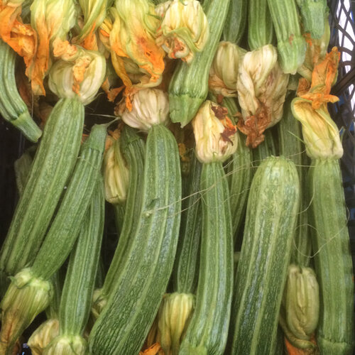 Calabacines de rayas verde claro recién cosechados, con sus flores