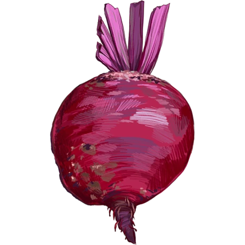 Remolacha