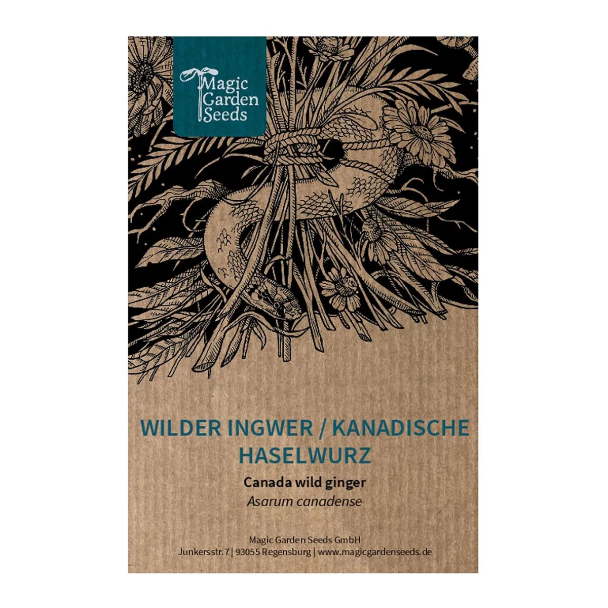 Kanadische Haselwurz (Asarum canadense) Samen