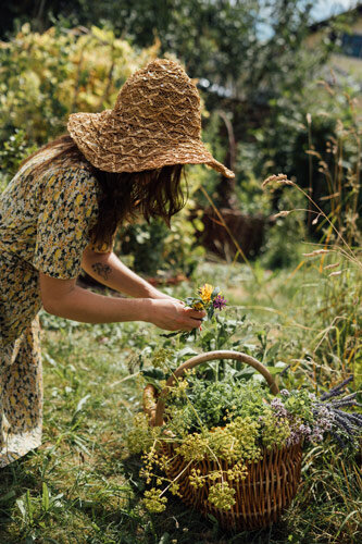 Mujer con sombrero de paja recoge hierbas y flores silvestres en una cesta de mimbre