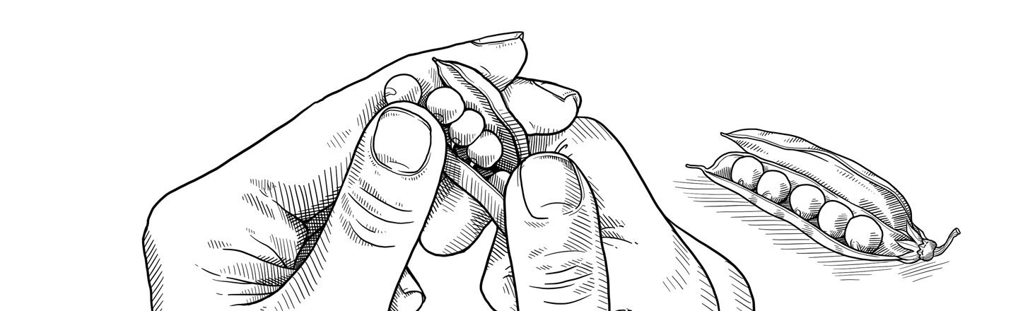 Erbsen aus der Schote pulen