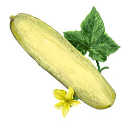 Una ilustración de un pepino amarillo